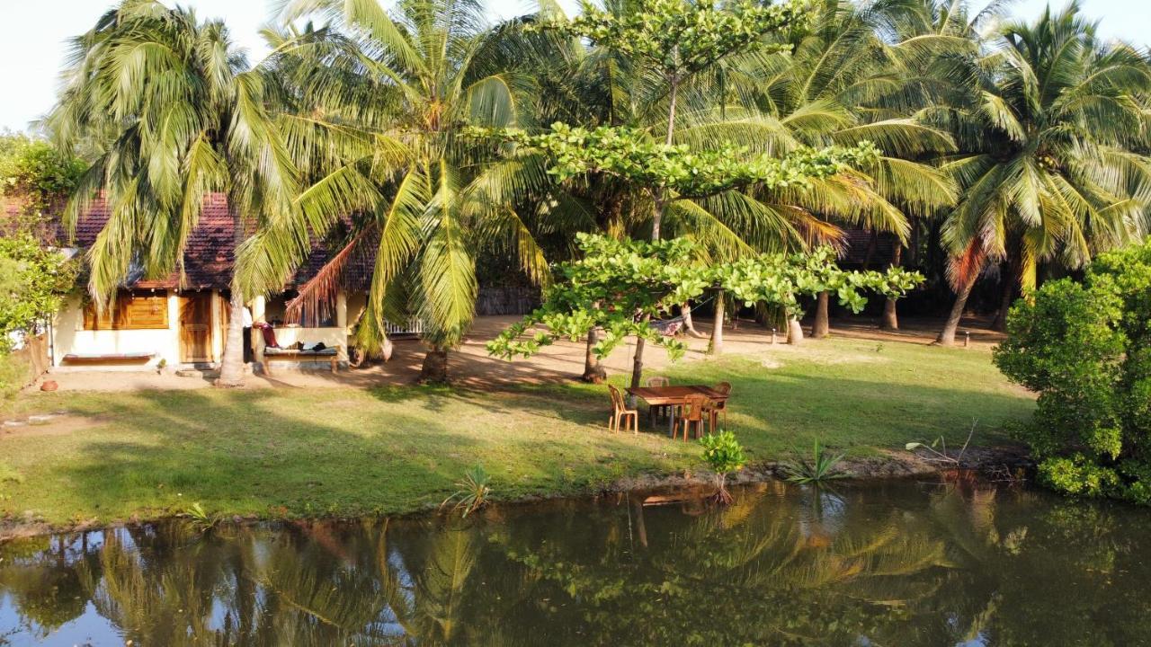Kite House Cafe Bed & Breakfast Kalpitiya Eksteriør bilde