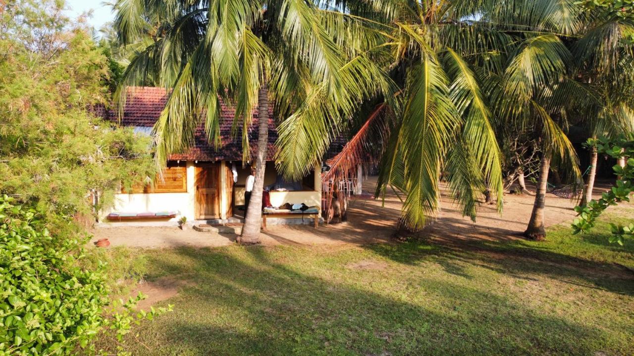 Kite House Cafe Bed & Breakfast Kalpitiya Eksteriør bilde