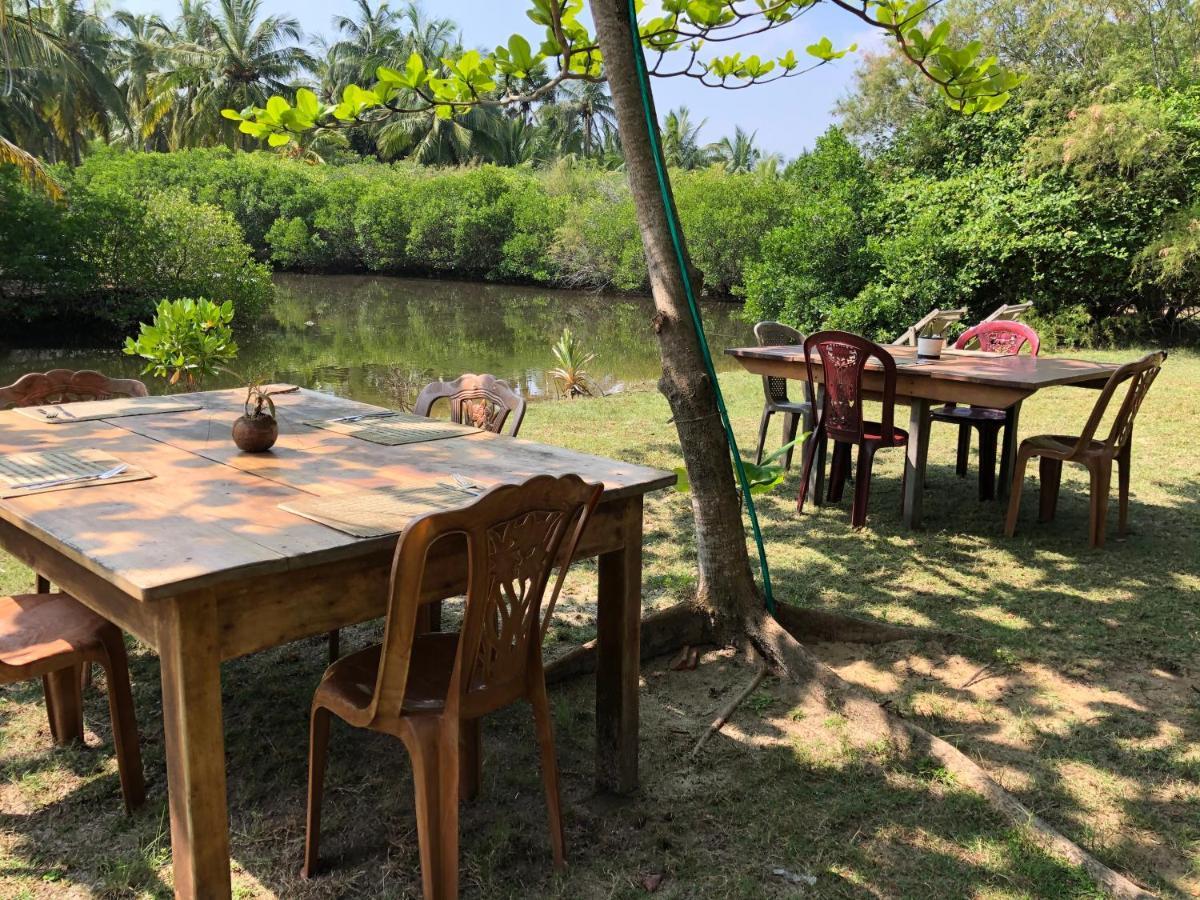 Kite House Cafe Bed & Breakfast Kalpitiya Eksteriør bilde
