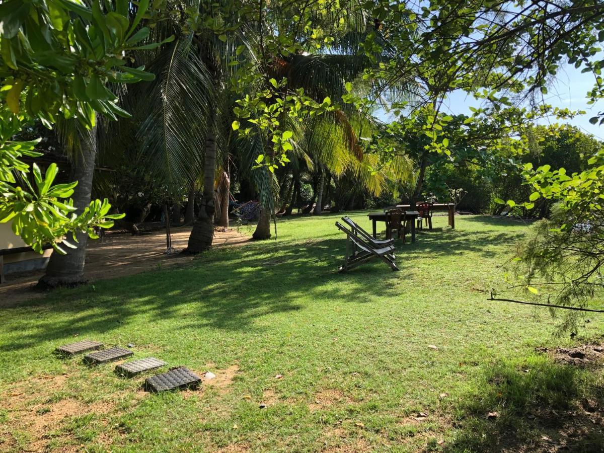 Kite House Cafe Bed & Breakfast Kalpitiya Eksteriør bilde