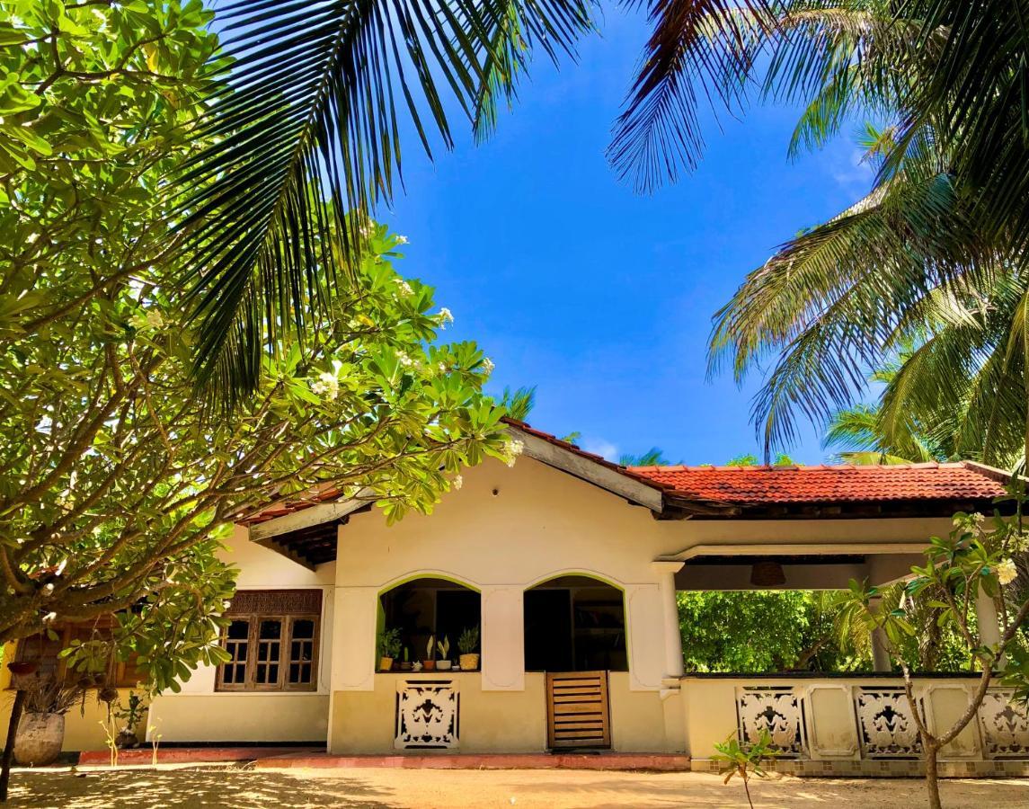 Kite House Cafe Bed & Breakfast Kalpitiya Eksteriør bilde