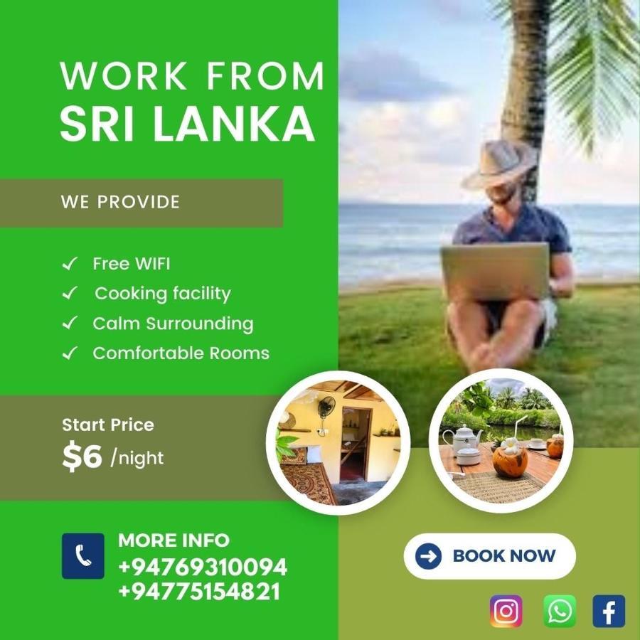 Kite House Cafe Bed & Breakfast Kalpitiya Eksteriør bilde